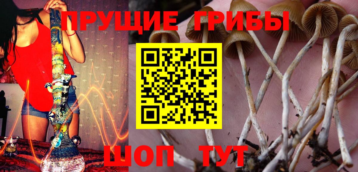 Псилоцибиновые грибы Psilocybine cubensis  Вход с VPN  Изобильный 